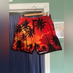 PULLIN Men’s Shorts Swimwear Beach Pool M-L